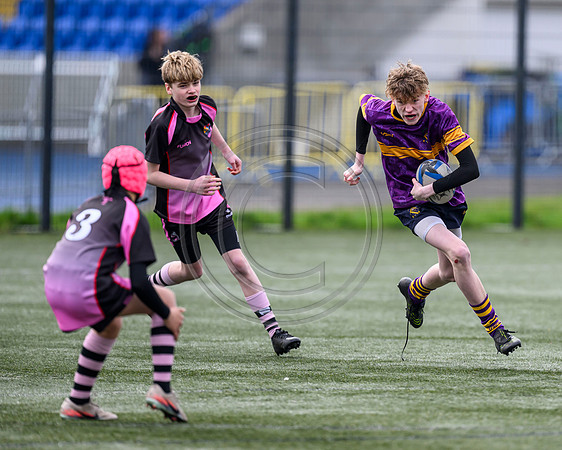 SPEN Warriors Championship Semifinal