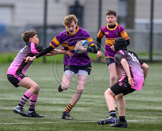 SPEN Warriors Championship Semifinal