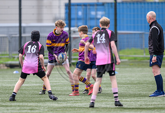 SPEN Warriors Championship Semifinal