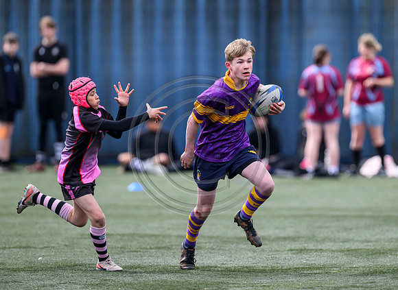 SPEN Warriors Championship Semifinal