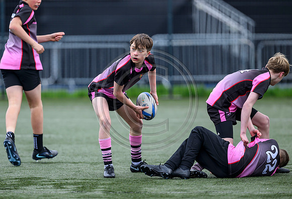 SPEN Warriors Championship Semifinal