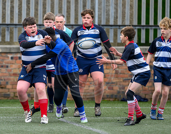 SPEN Warriors Championship Semifinal