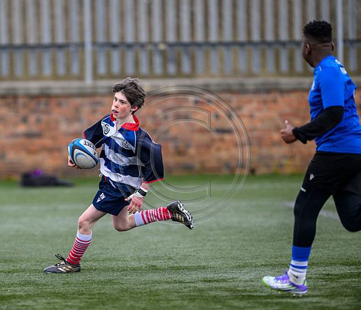 SPEN Warriors Championship Semifinal