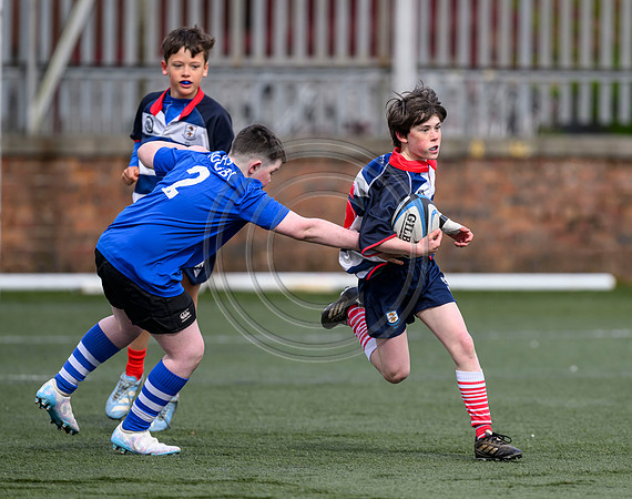 SPEN Warriors Championship Semifinal