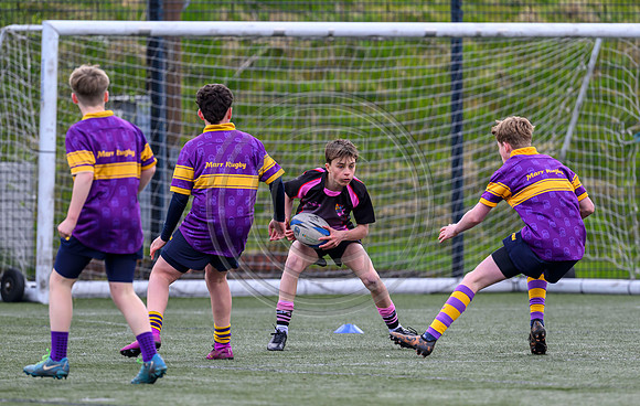 SPEN Warriors Championship Semifinal
