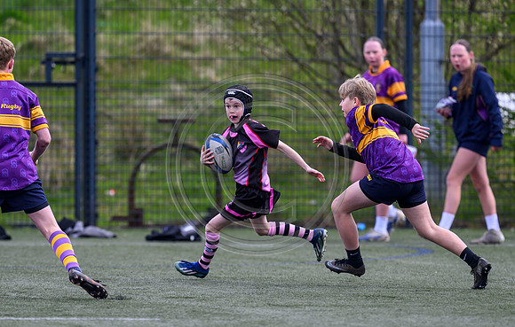 SPEN Warriors Championship Semifinal