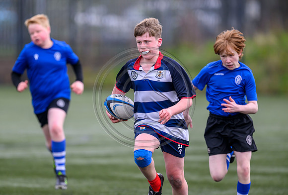 SPEN Warriors Championship Semifinal