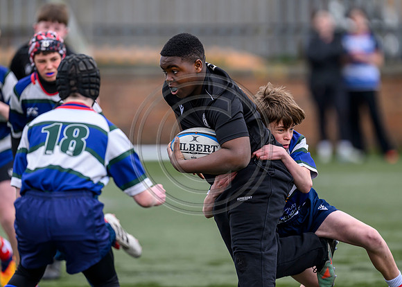 SPEN Warriors Championship Semifinal