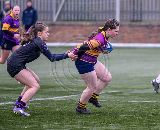 SPEN Warriors Championship Semifinal
