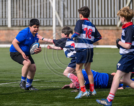 SPEN Warriors Championship Semifinal