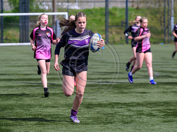 SPEN Warriors Championship Semifinal