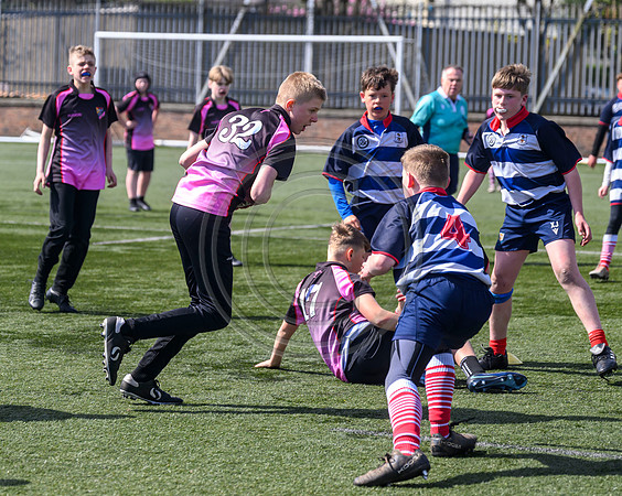 SPEN Warriors Championship Semifinal
