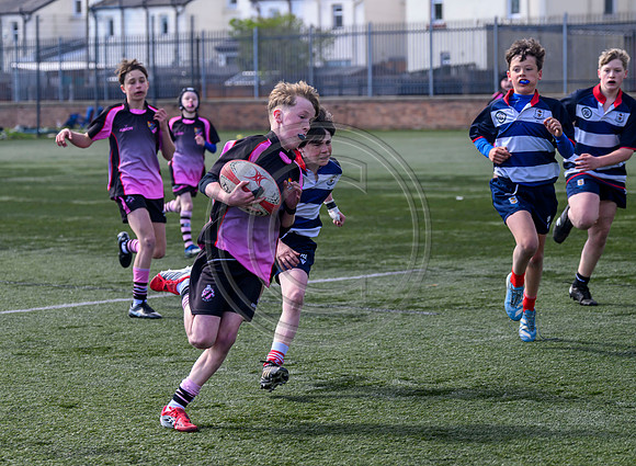 SPEN Warriors Championship Semifinal