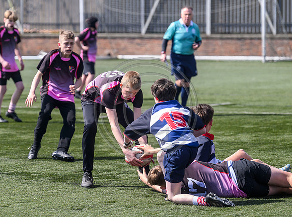 SPEN Warriors Championship Semifinal