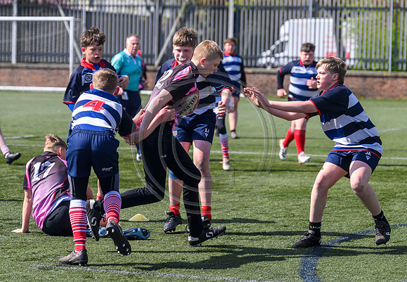 SPEN Warriors Championship Semifinal