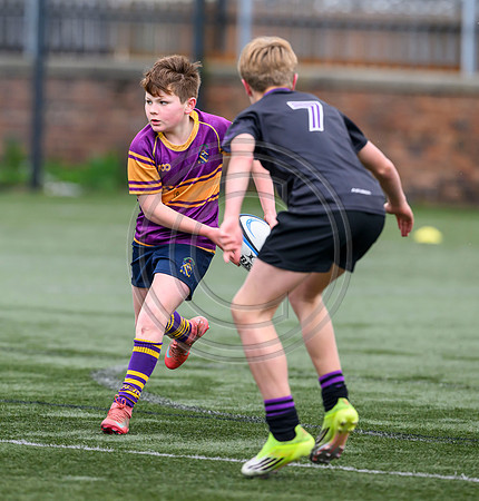 SPEN Warriors Championship Semifinal