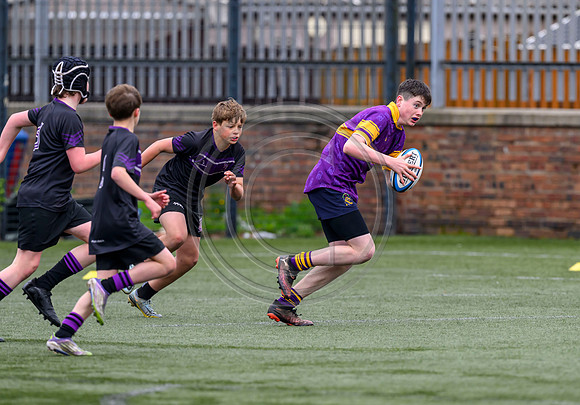 SPEN Warriors Championship Semifinal