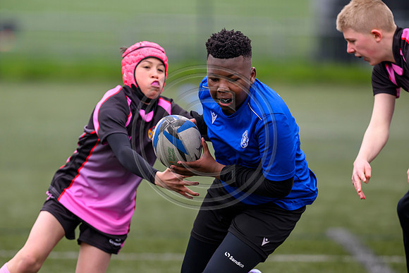 SPEN Warriors Championship Semifinal