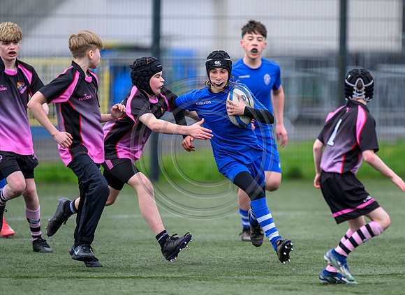 SPEN Warriors Championship Semifinal