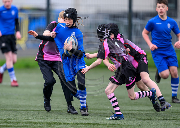 SPEN Warriors Championship Semifinal