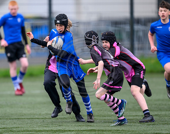 SPEN Warriors Championship Semifinal