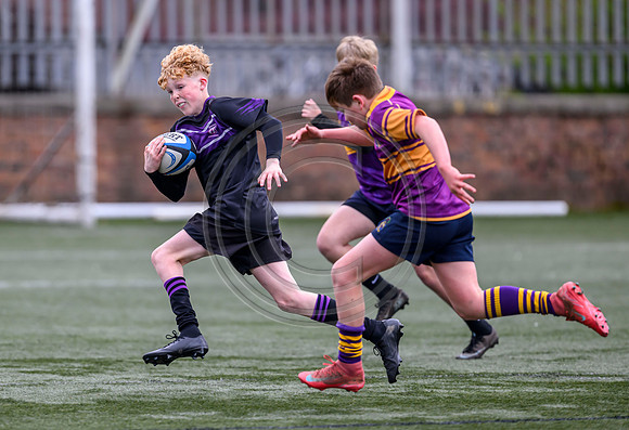 SPEN Warriors Championship Semifinal