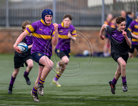 SPEN Warriors Championship Semifinal