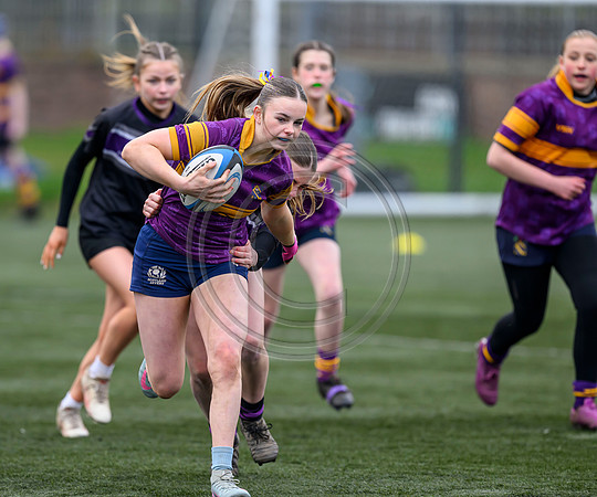 SPEN Warriors Championship Semifinal