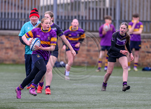 SPEN Warriors Championship Semifinal