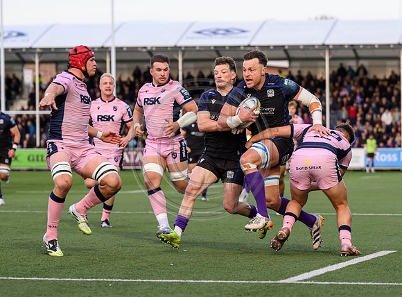Warriors v Cardiff