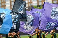 Warriors v Cardiff