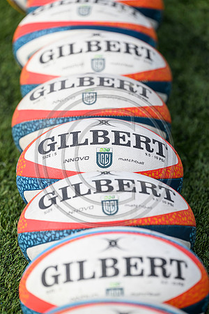 Warriors v Cardiff