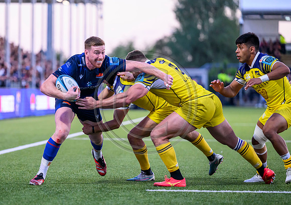 Edinburgh v Zebre