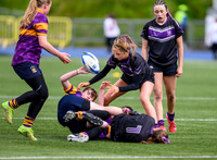 SP Energy Networks Warriors Final