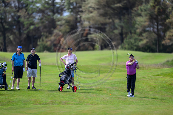 149 Golf day at Dundonald Links