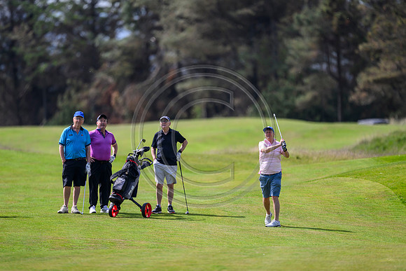 149 Golf day at Dundonald Links