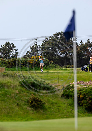 149 Golf day at Dundonald Links