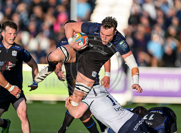 Warriors v Connacht