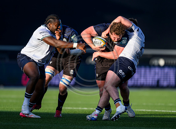Warriors v Connacht