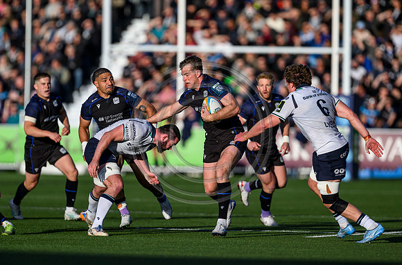 Warriors v Connacht