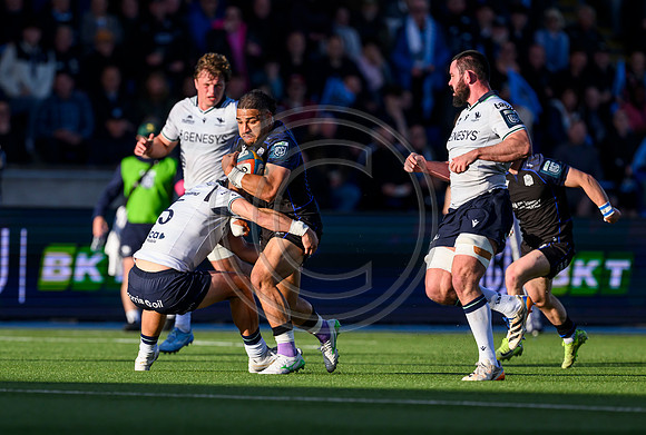 Warriors v Connacht
