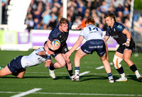 Warriors v Connacht