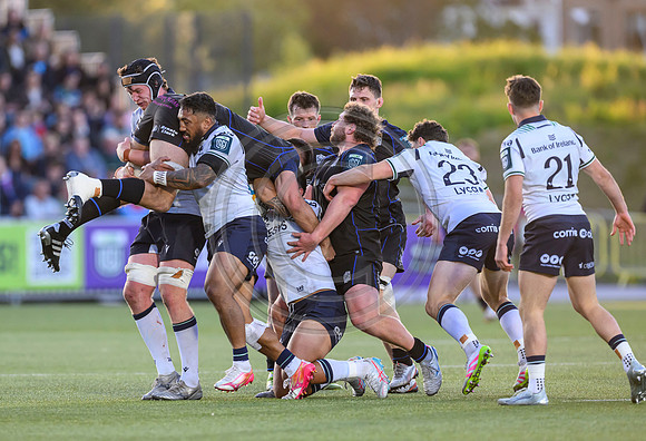 Warriors v Connacht