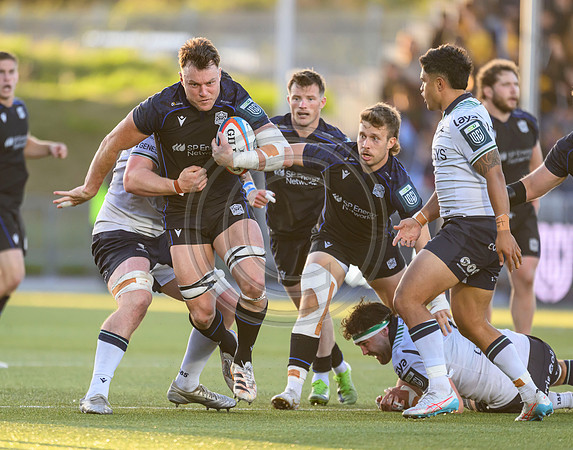 Warriors v Connacht