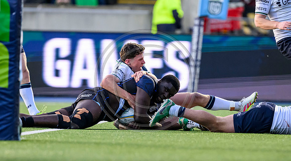 Warriors v Connacht