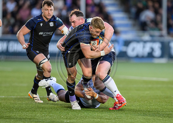 Warriors v Connacht