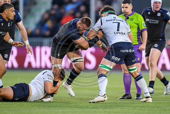 Warriors v Connacht