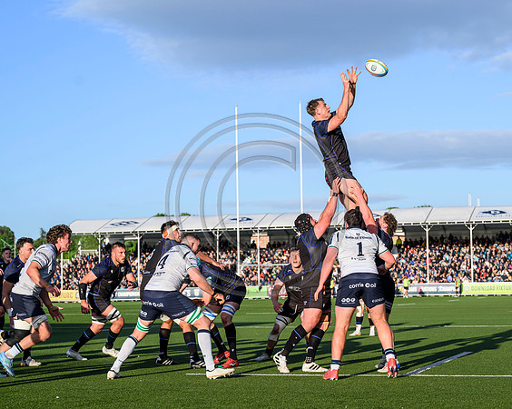 Warriors v Connacht
