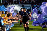 Warriors v Connacht