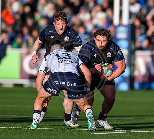 Warriors v Connacht